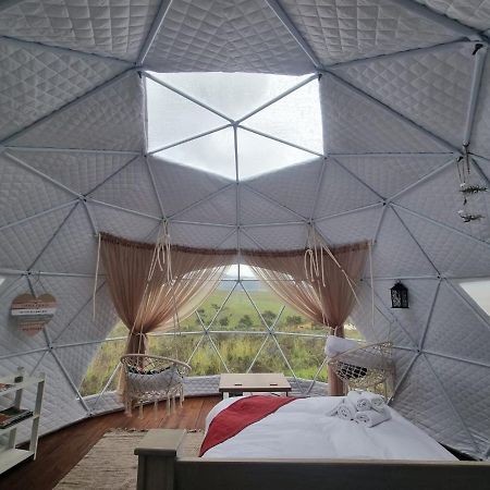 Pom Gratz - Ecodomes Otel Hartebeesrivier Dış mekan fotoğraf