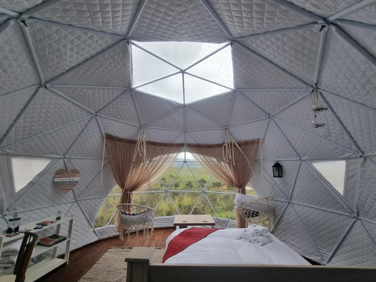 Pom Gratz - Ecodomes Otel Hartebeesrivier Dış mekan fotoğraf
