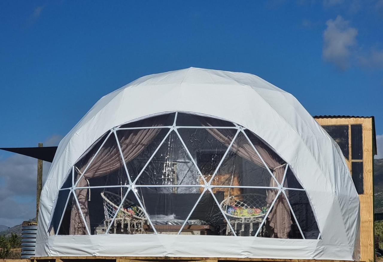 Pom Gratz - Ecodomes Otel Hartebeesrivier Dış mekan fotoğraf