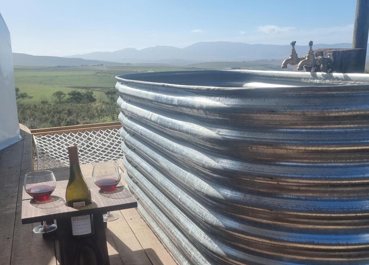 Pom Gratz - Ecodomes Otel Hartebeesrivier Dış mekan fotoğraf