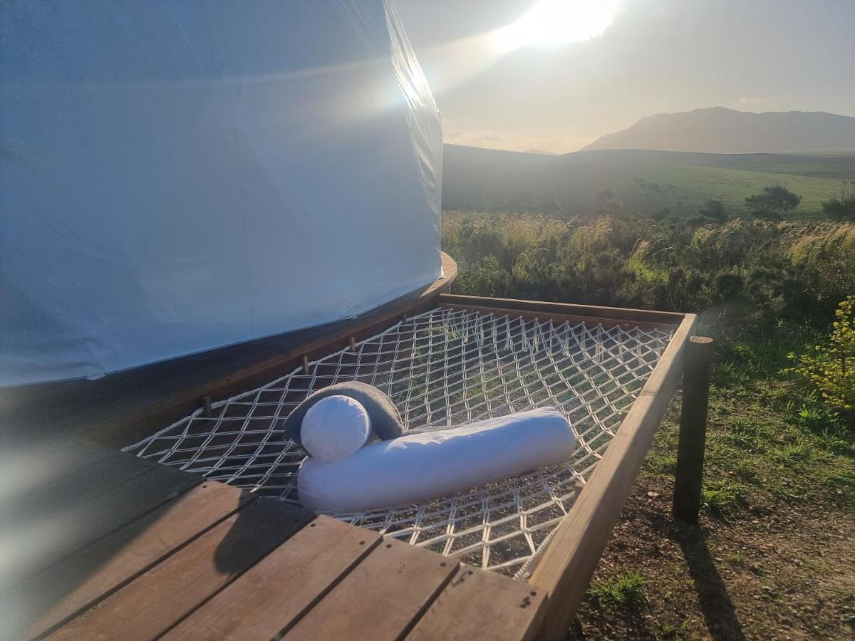 Pom Gratz - Ecodomes Otel Hartebeesrivier Dış mekan fotoğraf