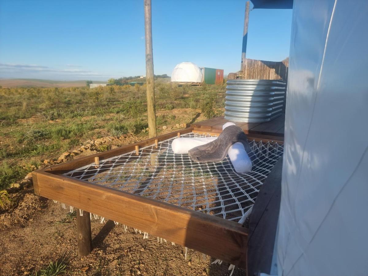 Pom Gratz - Ecodomes Otel Hartebeesrivier Dış mekan fotoğraf