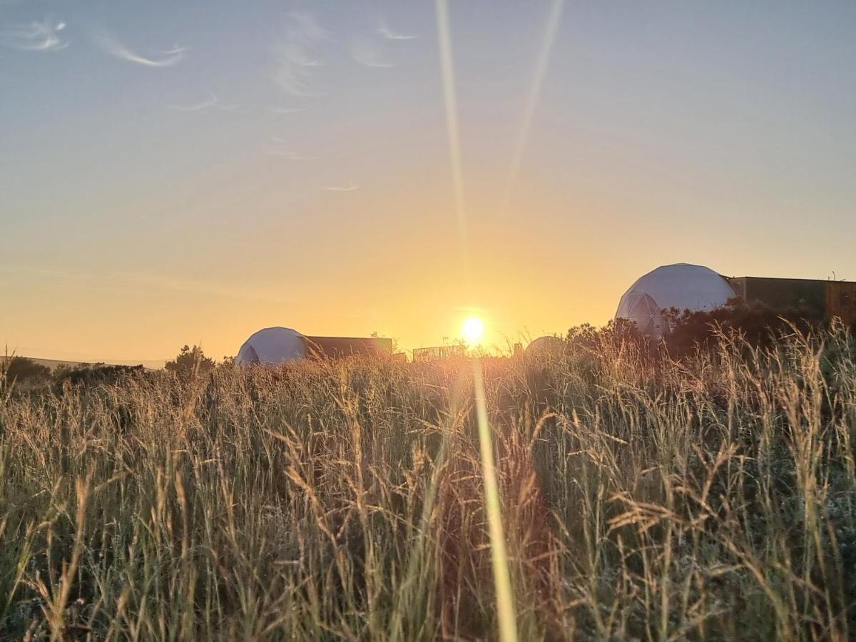 Pom Gratz - Ecodomes Otel Hartebeesrivier Dış mekan fotoğraf