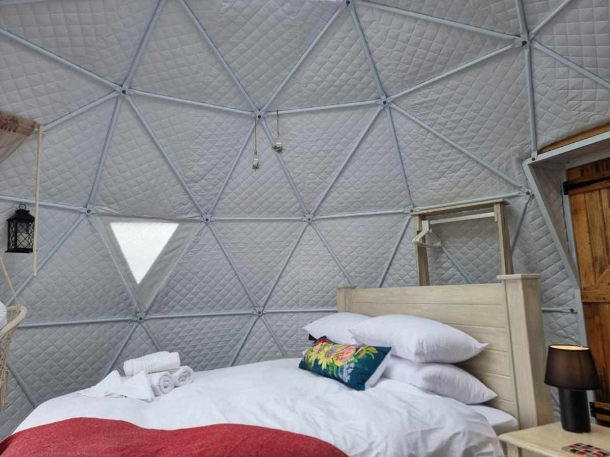Pom Gratz - Ecodomes Otel Hartebeesrivier Dış mekan fotoğraf