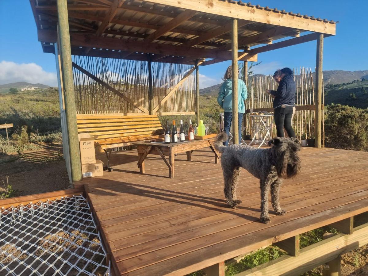 Pom Gratz - Ecodomes Otel Hartebeesrivier Dış mekan fotoğraf