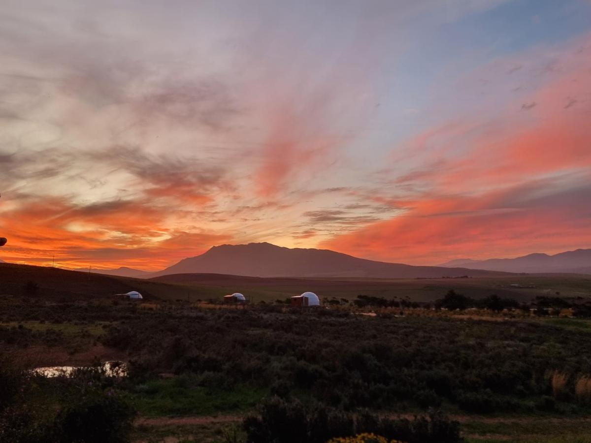 Pom Gratz - Ecodomes Otel Hartebeesrivier Dış mekan fotoğraf