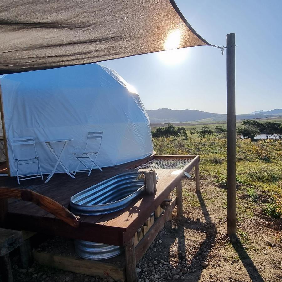 Pom Gratz - Ecodomes Otel Hartebeesrivier Dış mekan fotoğraf