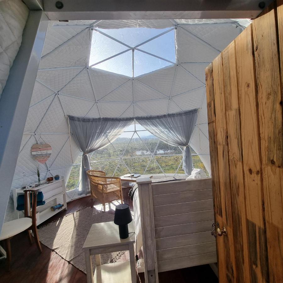 Pom Gratz - Ecodomes Otel Hartebeesrivier Dış mekan fotoğraf
