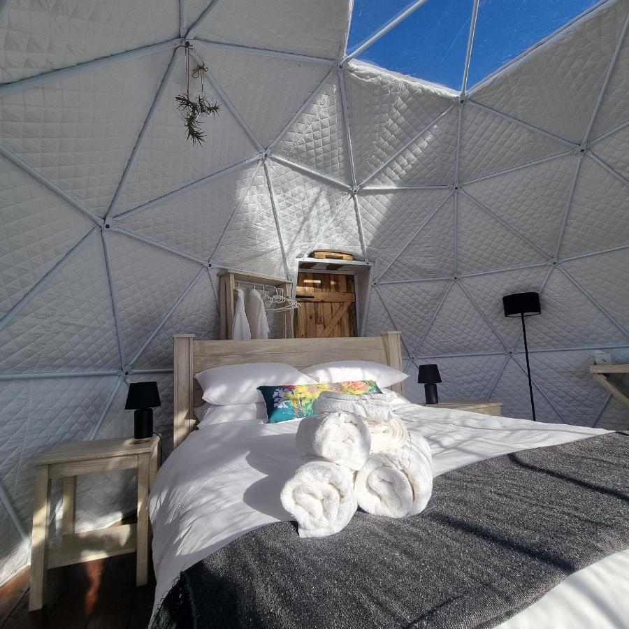 Pom Gratz - Ecodomes Otel Hartebeesrivier Dış mekan fotoğraf